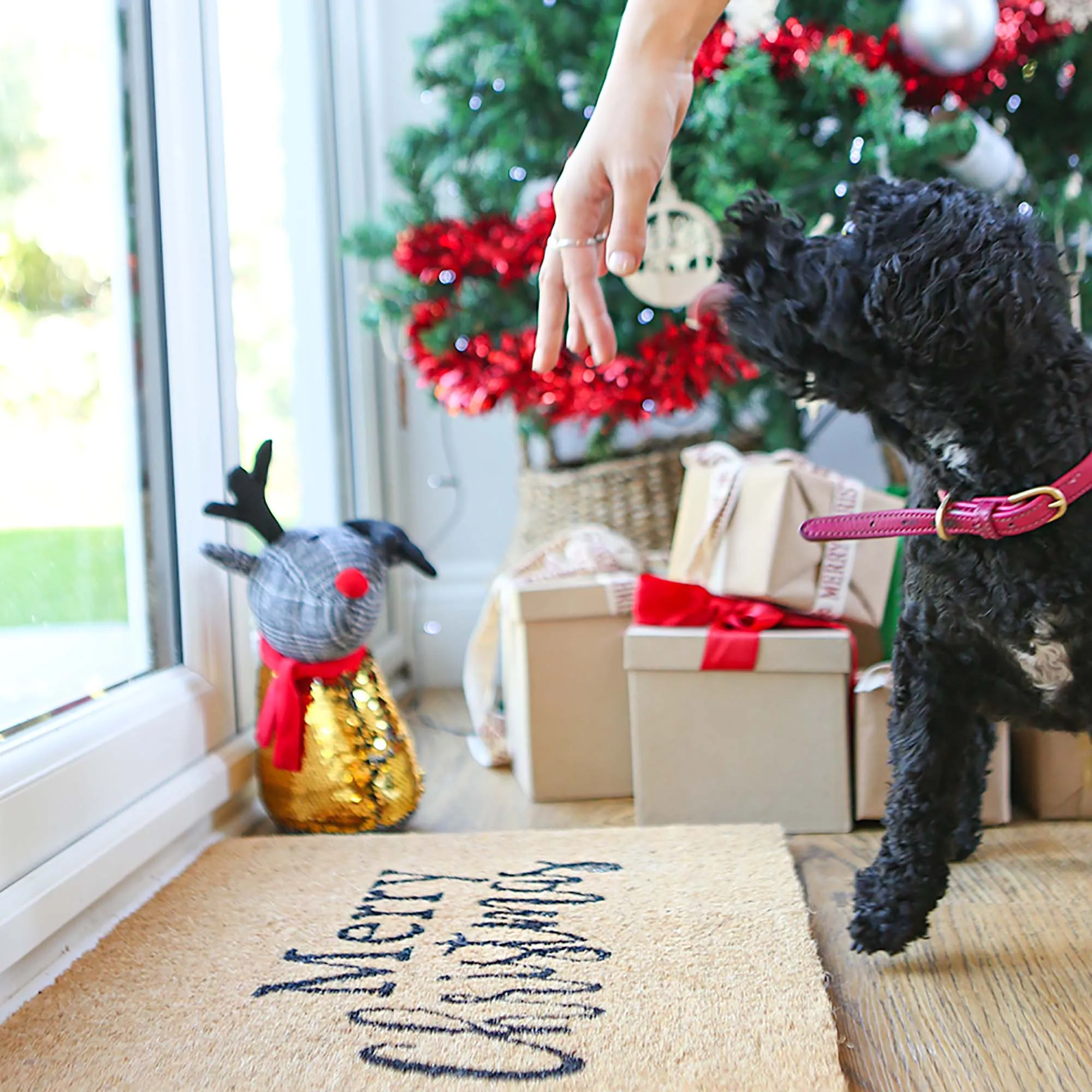 60cm x 40cm Merry Christmas Coir Door Mat - By Nicola Spring
