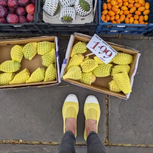 Yellow Slip On Cotton Plimsolls